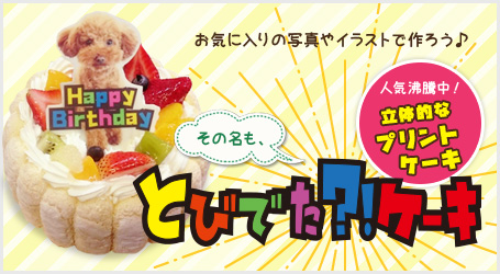 とびでた?!ケーキ